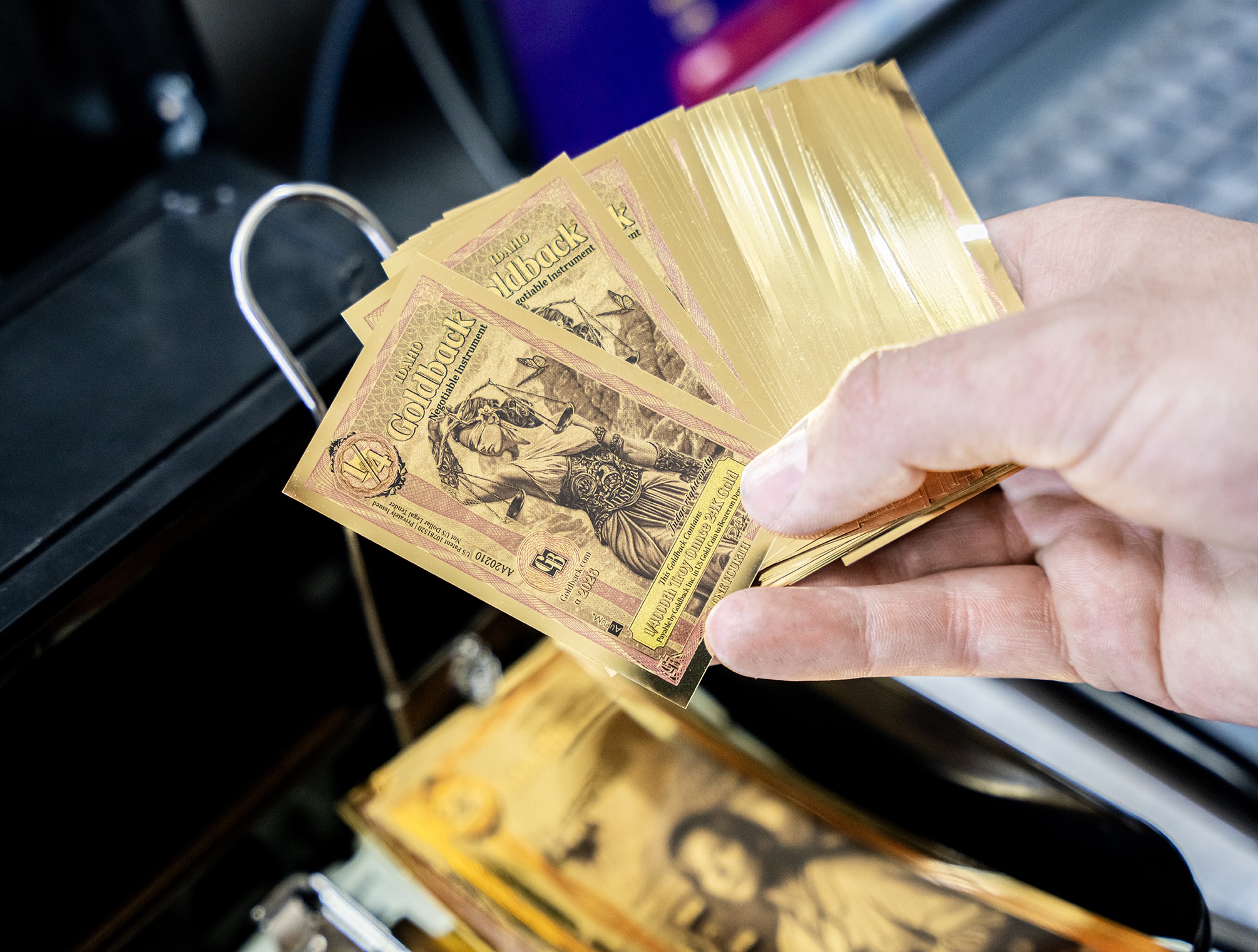 UNM Lifestyle (Idaho)